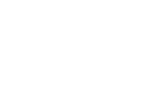 Master Certified Negotiation Expert
